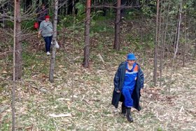 В Тайшетском районе нашли заблудившихся женщин. Фото ГУ МЧС России по Иркутской области
