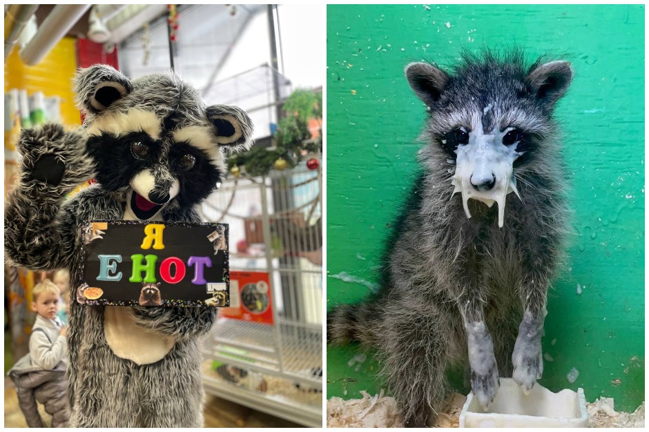 Фото: «Сибирский зоопарк»