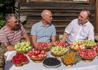 Леонид Фролов встретился с агрономами. Фото из телеграм-канала мэра Иркутского района