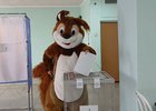Белка проголосовала на выборах губернатора. Скриншот видео центра общественного наблюдения за выборами