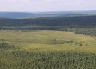 Лес. Фото пресс-службы правительства региона