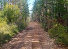 Восстановленная дорога. Фото пресс-службы правительства региона