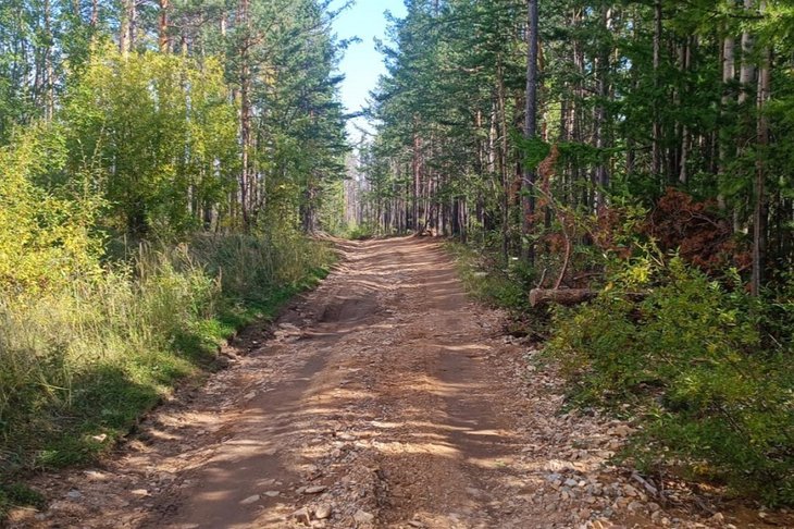 Восстановленная дорога. Фото пресс-службы правительства региона