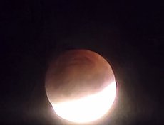 Фото пользователя Андрей