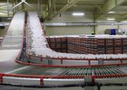 Яйца. Фото пресс-службы правительства Иркутской области