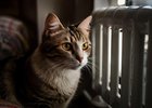 Изображение сгенерировано с помощью нейросети GigaChat