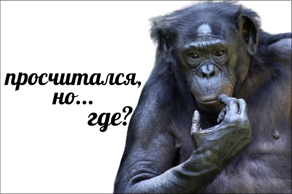 Изображение из открытых источников