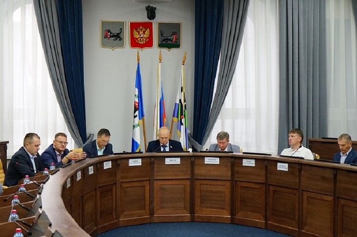Заседание комиссии. Фото пресс-службы думы Иркутска