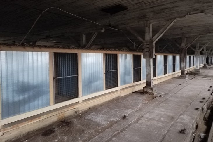 Приют для собак. Фото пресс-службы правительства Иркутской области