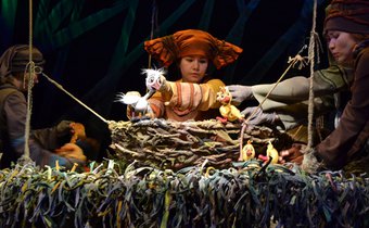 Гадкий утёнок