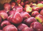 Фрукты. Фото из архива IRK.ru