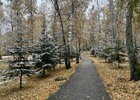 Снег в Иркутске. Фото IRK.ru