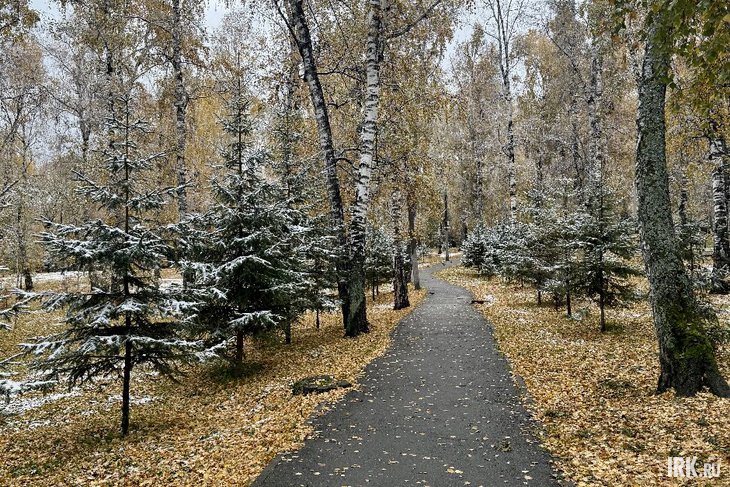Снег в Иркутске. Фото IRK.ru