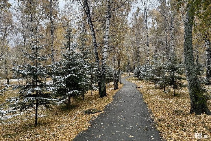 Снег в Иркутске. Фото IRK.ru