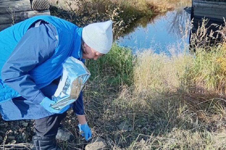 Иммунизация диких животных. Фото пресс-службы правительства Иркутской области