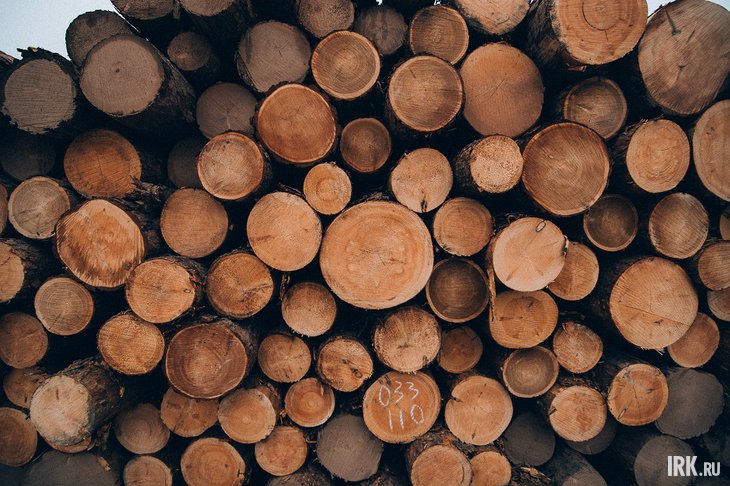 Древесина. Фото Никиты Пяткова из архива IRK.ru