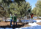 Лесные работы. Фото пресс-службы минлеса Иркутской области