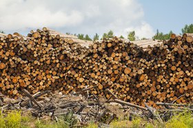 Лесоматериалы. Фото из архива IRK.ru