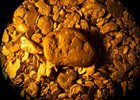 Природное золото. Фото пресс-службы УФСБ России по Иркутской области