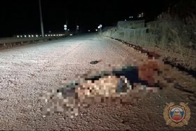 ДТП. Скриншот видео Госавтоинспекции региона