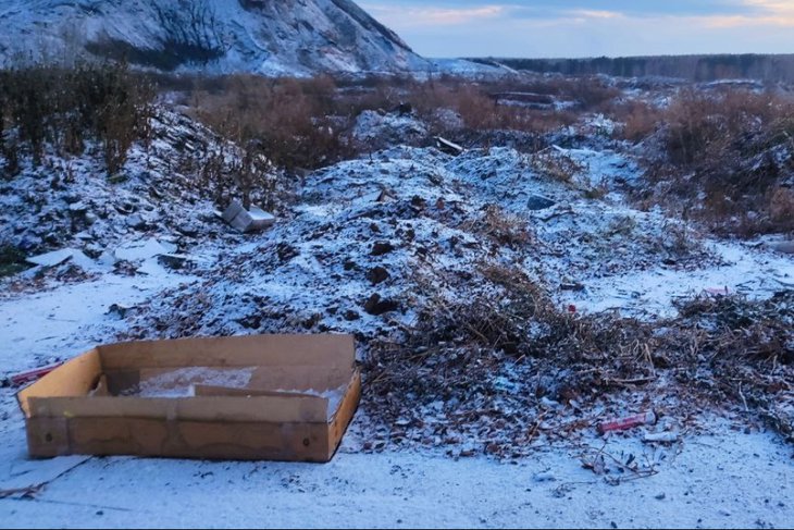 Мусор немного завалило снегом. Фото предоставлено очевидцем