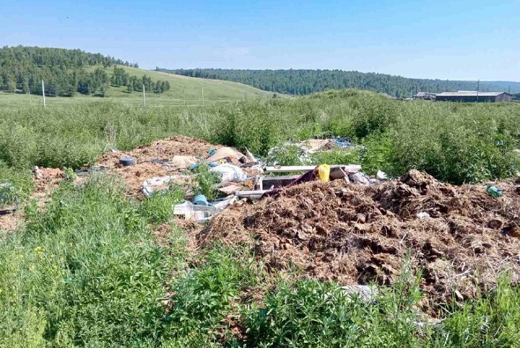 Свалка. Фото пресс-службы прокуратуры Иркутской области