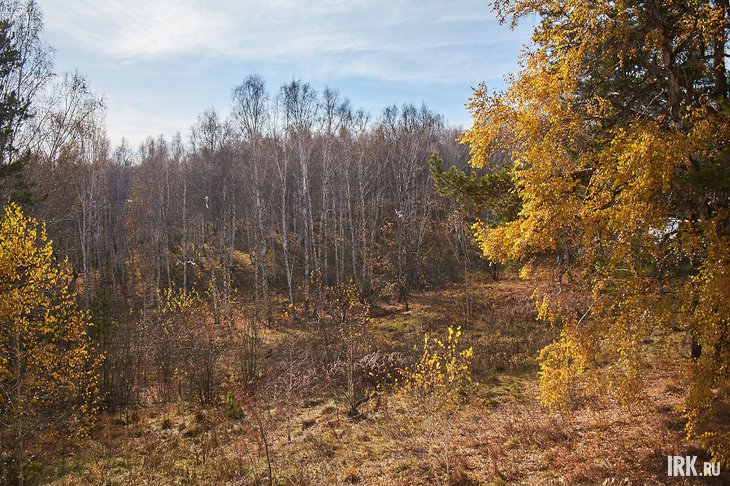 Осенний лес. Фото из архива IRK.ru