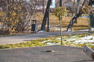 В одном углу площадки торчит круглое крепление