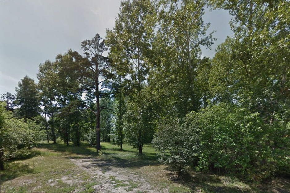 Каштаковская роща до благоустройства, 2013 год. Скриншот сервиса Google Карты