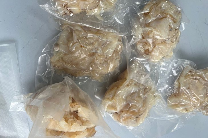 Изъятые морепродукты. Фото пресс-службы Иркутской таможни
