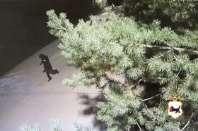 Момент кражи. Скриншот из видео пресс-службы ГУ МВД России по Иркутской области
