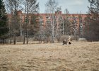 Мать с коляской. Фото Маргариты Романовой, IRK.ru