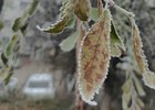 Изморось. Фото IRK.ru