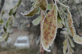 Изморось. Фото IRK.ru