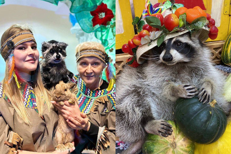 Фото: «Сибирский зоопарк»