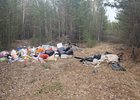 Свалка в лесу. Фото пресс-службы правительства Иркутской области