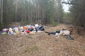 Свалка в лесу. Фото пресс-службы правительства Иркутской области