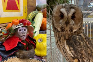 Фото: «Сибирский зоопарк»