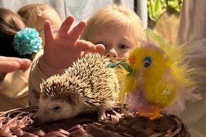 Фото: «Сибирский зоопарк»