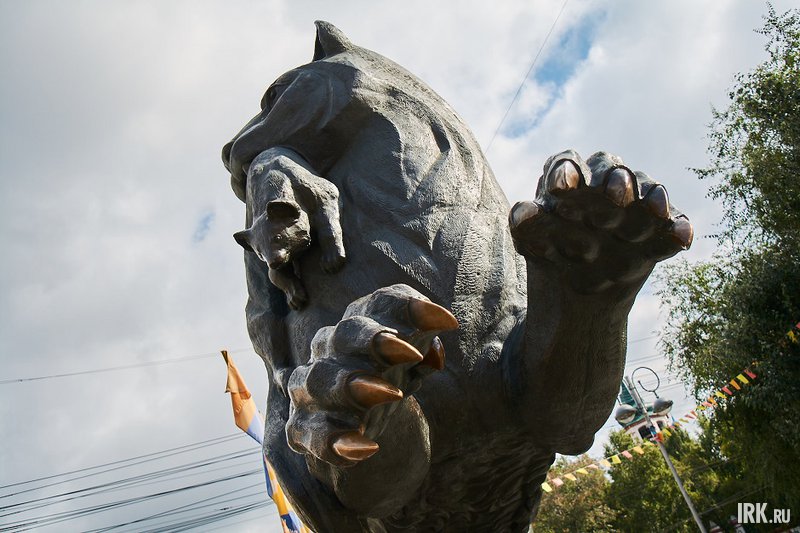 Бабр. Фото Маргариты Романовой, IRK.ru Бабр. Фото Маргариты Романовой, IRK.ru