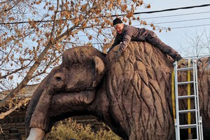 Мамонт. Фото из телеграм-канала «Иркутский Зоопарк»