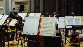 От винта, или Новогодний переполох