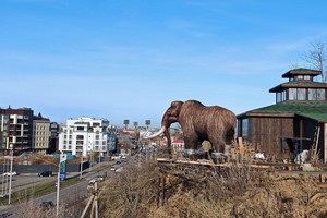 Мамонт. Фото из телеграм-канала «Иркутский Зоопарк»