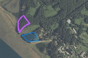 Участок в Патронах. Фото пресс-службы СУ СКР по Иркутской области