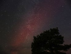 На Ольхоне. Фото: Елизавета Медведева