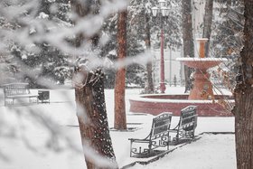 Снег в Иркутске 7 ноября. Фото Маргариты Романовой, IRK.ru