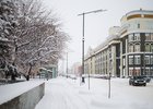 Снег в Иркутске. Фото Маргариты Романовой, IRK.ru