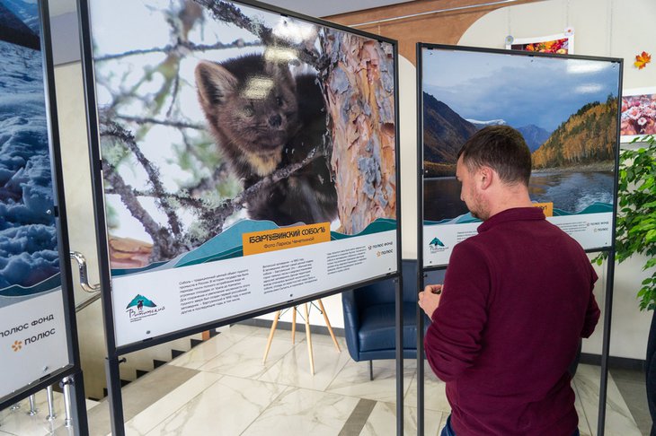 Выставка. Фото пресс-службы компании «Полюс Сухой Лог»