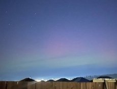 В деревне Столбова. Фото: Алексей Пучков