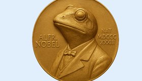 Научно-популярная лекция «Нобелевские премии 2025 года»